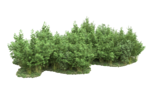 Realistic forest isolated on transparent background. 3d rendering - illustration png