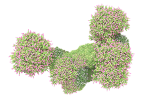 Realistic forest isolated on transparent background. 3d rendering - illustration png