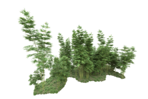 forêt réaliste isolée sur fond transparent. rendu 3d - illustration png