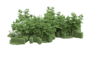 Realistic forest isolated on transparent background. 3d rendering - illustration png