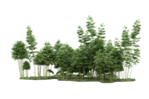 Realistic forest isolated on transparent background. 3d rendering - illustration png