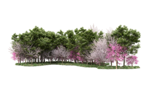 Realistic forest isolated on transparent background. 3d rendering - illustration png