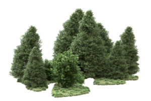 forêt réaliste isolée sur fond transparent. rendu 3d - illustration png