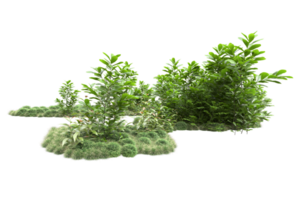 Realistic forest isolated on transparent background. 3d rendering - illustration png