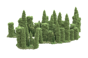 Realistic forest isolated on transparent background. 3d rendering - illustration png