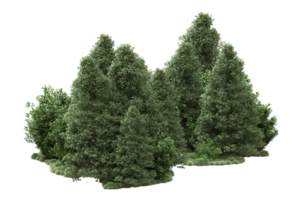 forêt réaliste isolée sur fond transparent. rendu 3d - illustration png