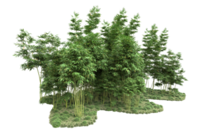 Realistic forest isolated on transparent background. 3d rendering - illustration png