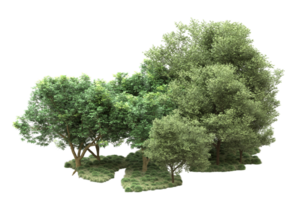 Realistic forest isolated on transparent background. 3d rendering - illustration png