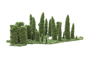 Realistic forest isolated on transparent background. 3d rendering - illustration png