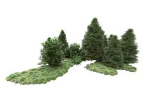 Realistic forest isolated on transparent background. 3d rendering - illustration png