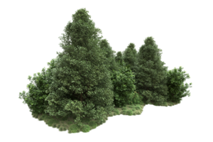 floresta realista isolada em fundo transparente. renderização 3D - ilustração png