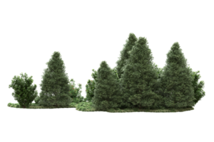 forêt réaliste isolée sur fond transparent. rendu 3d - illustration png