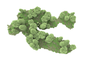 floresta realista isolada em fundo transparente. renderização 3D - ilustração png