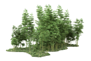 Realistic forest isolated on transparent background. 3d rendering - illustration png