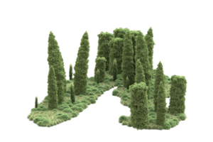 Realistic forest isolated on transparent background. 3d rendering - illustration png