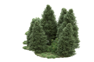 realistico foresta isolato su trasparente sfondo. 3d interpretazione - illustrazione png