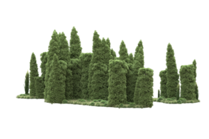 Realistic forest isolated on transparent background. 3d rendering - illustration png