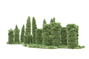 Realistic forest isolated on transparent background. 3d rendering - illustration png