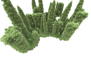Realistic forest isolated on transparent background. 3d rendering - illustration png