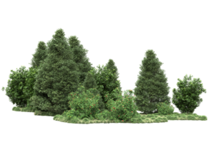 Realistic forest isolated on transparent background. 3d rendering - illustration png