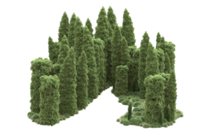 floresta realista isolada em fundo transparente. renderização 3D - ilustração png