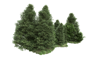 realistico foresta isolato su trasparente sfondo. 3d interpretazione - illustrazione png