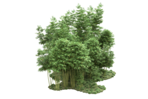 Realistic forest isolated on transparent background. 3d rendering - illustration png