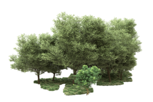 Realistic forest isolated on transparent background. 3d rendering - illustration png