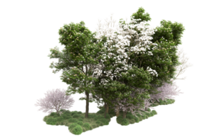 Realistic forest isolated on transparent background. 3d rendering - illustration png