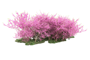 floresta realista isolada em fundo transparente. renderização 3D - ilustração png