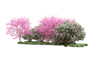 Realistic forest isolated on transparent background. 3d rendering - illustration png