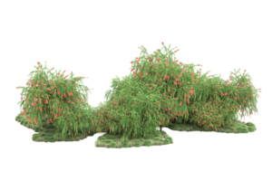 floresta realista isolada em fundo transparente. renderização 3D - ilustração png