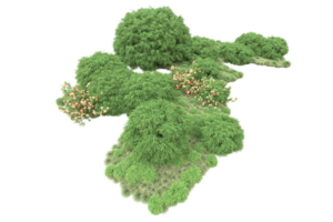 floresta realista isolada em fundo transparente. renderização 3D - ilustração png