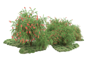 Realistic forest isolated on transparent background. 3d rendering - illustration png