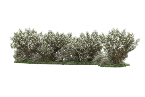 Realistic forest isolated on transparent background. 3d rendering - illustration png