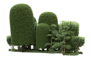 Realistic forest isolated on transparent background. 3d rendering - illustration png