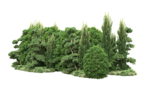 Realistic forest isolated on transparent background. 3d rendering - illustration png