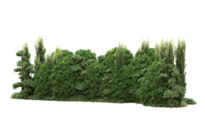 forêt réaliste isolée sur fond transparent. rendu 3d - illustration png