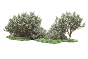 forêt réaliste isolée sur fond transparent. rendu 3d - illustration png