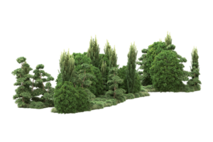 forêt réaliste isolée sur fond transparent. rendu 3d - illustration png