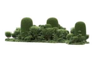 forêt réaliste isolée sur fond transparent. rendu 3d - illustration png