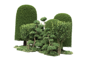 Realistic forest isolated on transparent background. 3d rendering - illustration png