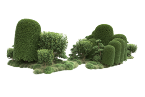 forêt réaliste isolée sur fond transparent. rendu 3d - illustration png