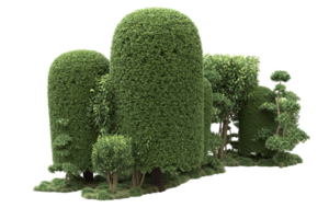 floresta realista isolada em fundo transparente. renderização 3D - ilustração png