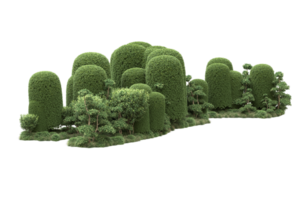 Realistic forest isolated on transparent background. 3d rendering - illustration png