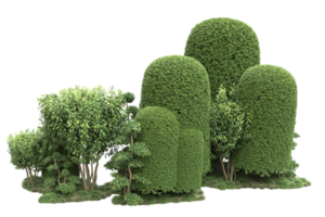 forêt réaliste isolée sur fond transparent. rendu 3d - illustration png