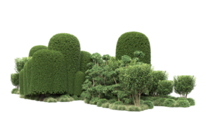 floresta realista isolada em fundo transparente. renderização 3D - ilustração png