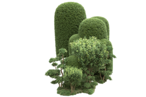 forêt réaliste isolée sur fond transparent. rendu 3d - illustration png