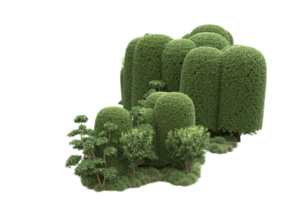 floresta realista isolada em fundo transparente. renderização 3D - ilustração png