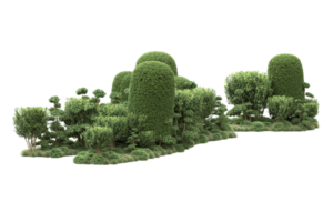 realistischer wald lokalisiert auf transparentem hintergrund. 3D-Rendering - Abbildung png